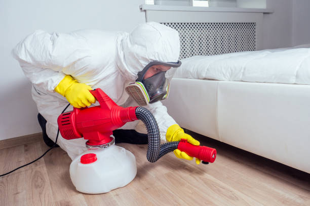 Best Wasp Removal Services  in Fayetteville, NC
