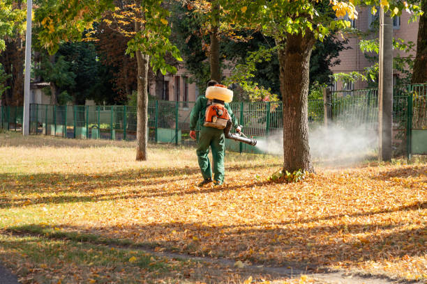 Best Pest Control for Restaurants  in Fayetteville, NC
