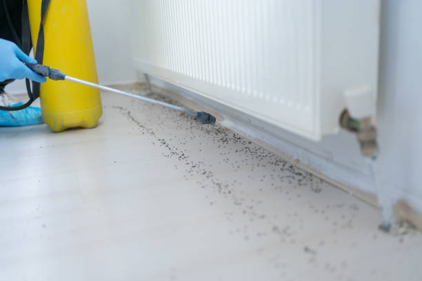 Best Pest Removal Services  in Fayetteville, NC