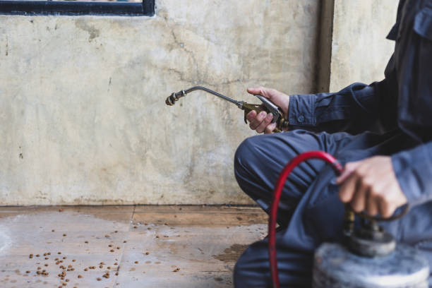 Pest Control for Restaurants in Fayetteville, NC
